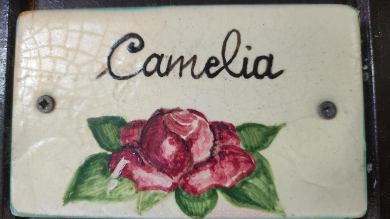 Cammarata Agriturismo Casalicchio מראה חיצוני תמונה